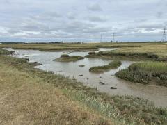 Near Oare Marshes